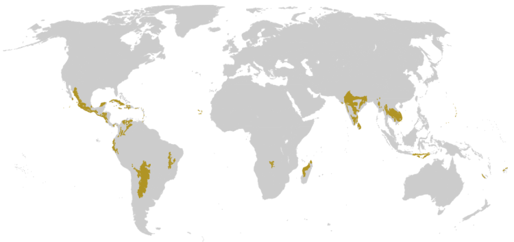 Peta Bioma Hutan Musim Tropika